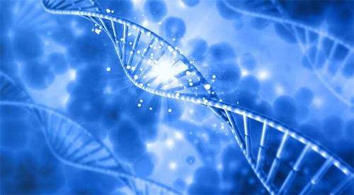 中國首例正序生物堿基編輯藥物成功治愈外籍患者，開創基因治療新紀元