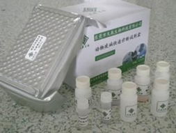 人NT-proBNP及N端前腦鈉素ELISA試劑盒在上海生物科技領(lǐng)域的發(fā)展與應(yīng)用