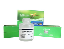 激酶緩沖液I 上海生物科技的核心產品解析與應用指南